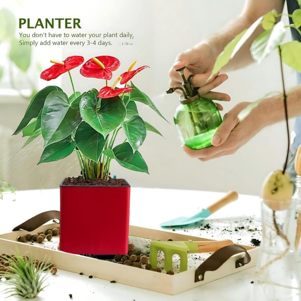 Aqua Bloom Self Watering Planter