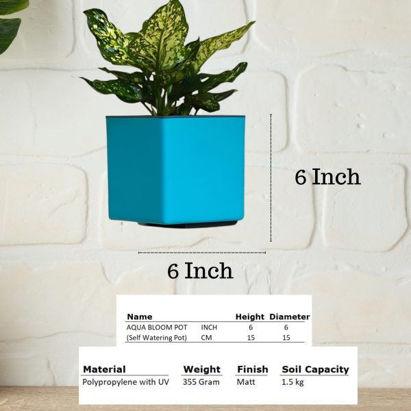 Aqua bloom square Planter