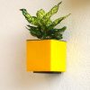 Aqua Bloom Square Planter