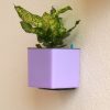 Aqua Bloom Square Planter