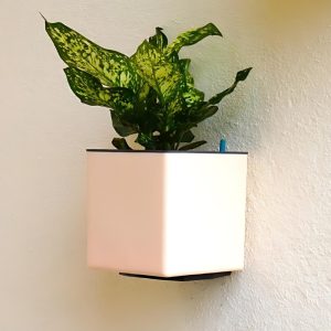 Aqua Bloom Square Planter