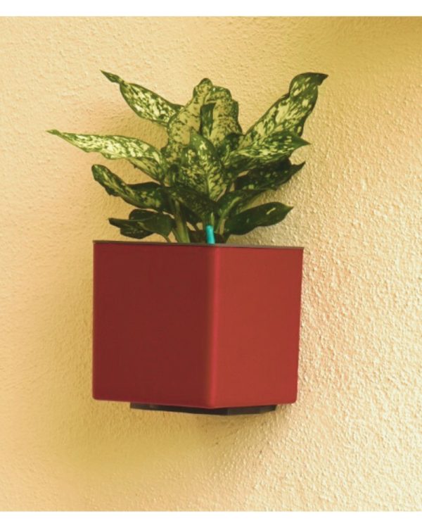 Aqua Bloom Square planter