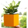 Aqua Bloom Square Planter