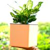 Aqua Bloom Square planter