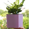 Aqua Bloom Square planter