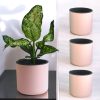 Aqua Haven Self Watering Planter