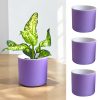 Violet Set of 4