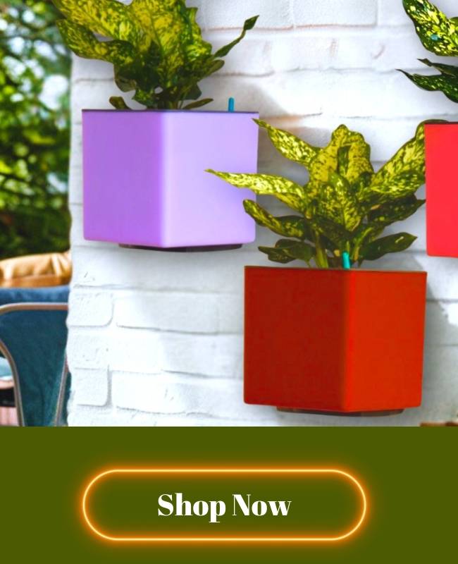 Aqua Bloom Square Planter